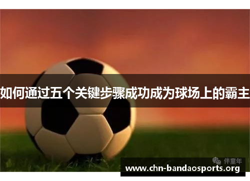 如何通过五个关键步骤成功成为球场上的霸主