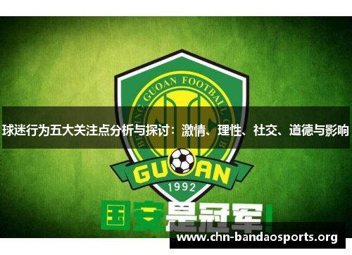 球迷行为五大关注点分析与探讨：激情、理性、社交、道德与影响